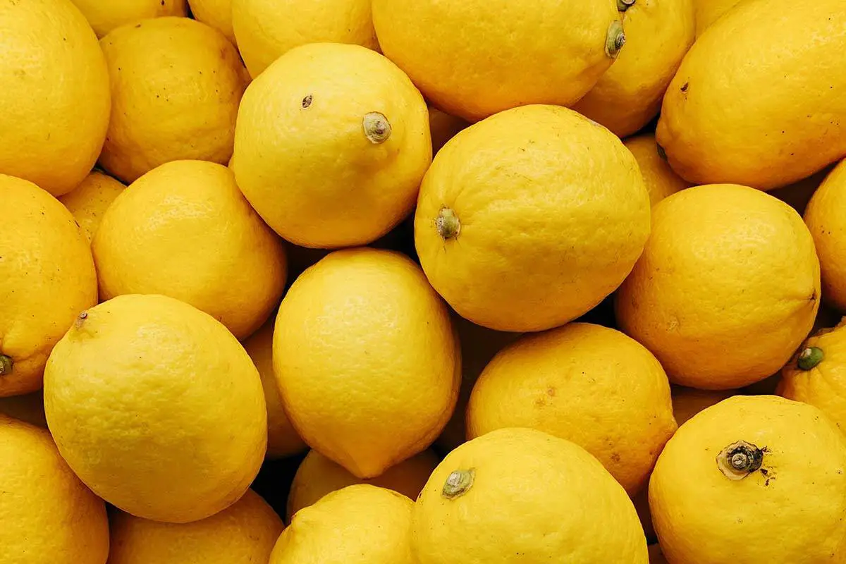 Lemons in a pile